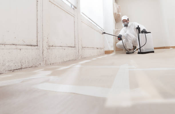 24/7 Emergency Crawl Space Mold Remediation experts in Fairfield, NJ